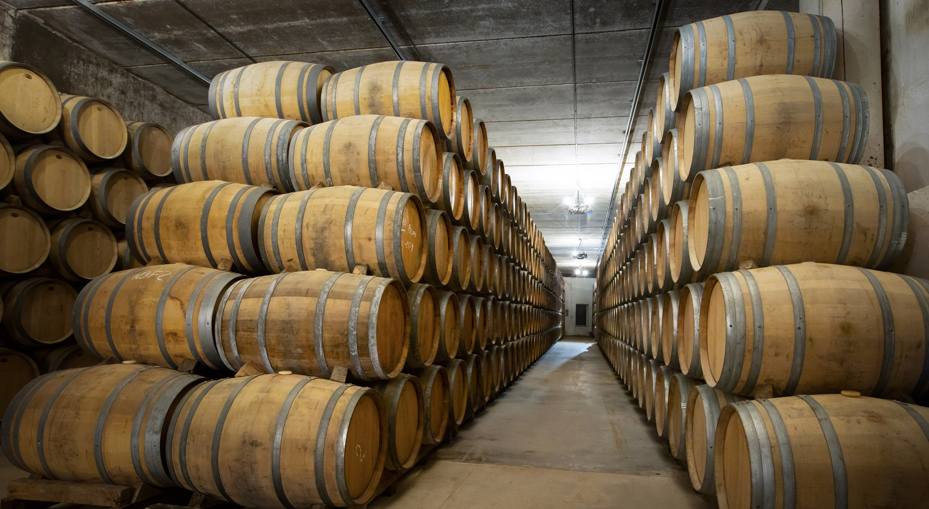 Bodegas-Perica-Seleccion-Bodega